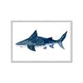 Picture of Shark Attack II  _GroupedProduct_Rectangle_Landscape_Mini_ _GroupedProduct_Rectangle_Landscape_Framed_Matted_