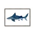 Picture of Shark Attack II  _GroupedProduct_Rectangle_Landscape_Mini_ _GroupedProduct_Rectangle_Landscape_Framed_Matted_