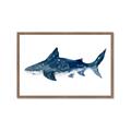 Picture of Shark Attack II  _GroupedProduct_Rectangle_Landscape_Mini_ _GroupedProduct_Rectangle_Landscape_Framed_Matted_
