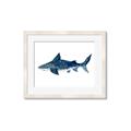 Picture of Shark Attack II  _GroupedProduct_Rectangle_Landscape_Mini_ _GroupedProduct_Rectangle_Landscape_Framed_Matted_