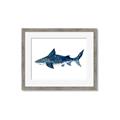 Picture of Shark Attack II  _GroupedProduct_Rectangle_Landscape_Mini_ _GroupedProduct_Rectangle_Landscape_Framed_Matted_