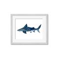 Picture of Shark Attack II  _GroupedProduct_Rectangle_Landscape_Mini_ _GroupedProduct_Rectangle_Landscape_Framed_Matted_