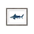 Picture of Shark Attack II  _GroupedProduct_Rectangle_Landscape_Mini_ _GroupedProduct_Rectangle_Landscape_Framed_Matted_