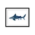 Picture of Shark Attack II  _GroupedProduct_Rectangle_Landscape_Mini_ _GroupedProduct_Rectangle_Landscape_Framed_Matted_
