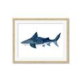 Picture of Shark Attack II  _GroupedProduct_Rectangle_Landscape_Mini_ _GroupedProduct_Rectangle_Landscape_Framed_Matted_