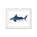 Picture of Shark Attack II  _GroupedProduct_Rectangle_Landscape_Mini_ _GroupedProduct_Rectangle_Landscape_Framed_Matted_