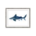 Picture of Shark Attack II  _GroupedProduct_Rectangle_Landscape_Mini_ _GroupedProduct_Rectangle_Landscape_Framed_Matted_