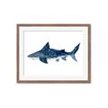 Picture of Shark Attack II  _GroupedProduct_Rectangle_Landscape_Mini_ _GroupedProduct_Rectangle_Landscape_Framed_Matted_