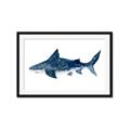Picture of Shark Attack II  _GroupedProduct_Rectangle_Landscape_Mini_ _GroupedProduct_Rectangle_Landscape_Framed_Matted_