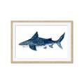 Picture of Shark Attack II  _GroupedProduct_Rectangle_Landscape_Mini_ _GroupedProduct_Rectangle_Landscape_Framed_Matted_