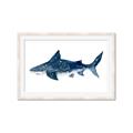 Picture of Shark Attack II  _GroupedProduct_Rectangle_Landscape_Mini_ _GroupedProduct_Rectangle_Landscape_Framed_Matted_