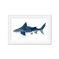 Picture of Shark Attack II  _GroupedProduct_Rectangle_Landscape_Mini_ _GroupedProduct_Rectangle_Landscape_Framed_Matted_