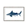 Picture of Shark Attack II  _GroupedProduct_Rectangle_Landscape_Mini_ _GroupedProduct_Rectangle_Landscape_Framed_Matted_