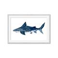 Picture of Shark Attack II  _GroupedProduct_Rectangle_Landscape_Mini_ _GroupedProduct_Rectangle_Landscape_Framed_Matted_