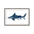 Picture of Shark Attack II  _GroupedProduct_Rectangle_Landscape_Mini_ _GroupedProduct_Rectangle_Landscape_Framed_Matted_