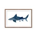 Picture of Shark Attack II  _GroupedProduct_Rectangle_Landscape_Mini_ _GroupedProduct_Rectangle_Landscape_Framed_Matted_