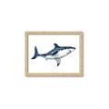 Picture of Shark Attack I   _GroupedProduct_Rectangle_Landscape_Mini_ _GroupedProduct_Rectangle_Landscape_Framed_Matted_