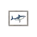 Picture of Shark Attack I   _GroupedProduct_Rectangle_Landscape_Mini_ _GroupedProduct_Rectangle_Landscape_Framed_Matted_