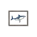 Picture of Shark Attack I   _GroupedProduct_Rectangle_Landscape_Mini_ _GroupedProduct_Rectangle_Landscape_Framed_Matted_