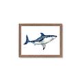 Picture of Shark Attack I   _GroupedProduct_Rectangle_Landscape_Mini_ _GroupedProduct_Rectangle_Landscape_Framed_Matted_