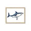 Picture of Shark Attack I   _GroupedProduct_Rectangle_Landscape_Mini_ _GroupedProduct_Rectangle_Landscape_Framed_Matted_