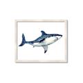 Picture of Shark Attack I   _GroupedProduct_Rectangle_Landscape_Mini_ _GroupedProduct_Rectangle_Landscape_Framed_Matted_