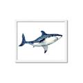 Picture of Shark Attack I   _GroupedProduct_Rectangle_Landscape_Mini_ _GroupedProduct_Rectangle_Landscape_Framed_Matted_
