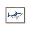 Picture of Shark Attack I   _GroupedProduct_Rectangle_Landscape_Mini_ _GroupedProduct_Rectangle_Landscape_Framed_Matted_