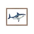 Picture of Shark Attack I   _GroupedProduct_Rectangle_Landscape_Mini_ _GroupedProduct_Rectangle_Landscape_Framed_Matted_