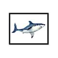 Picture of Shark Attack I   _GroupedProduct_Rectangle_Landscape_Mini_ _GroupedProduct_Rectangle_Landscape_Framed_Matted_