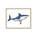 Picture of Shark Attack I   _GroupedProduct_Rectangle_Landscape_Mini_ _GroupedProduct_Rectangle_Landscape_Framed_Matted_