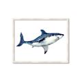 Picture of Shark Attack I   _GroupedProduct_Rectangle_Landscape_Mini_ _GroupedProduct_Rectangle_Landscape_Framed_Matted_