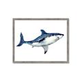 Picture of Shark Attack I   _GroupedProduct_Rectangle_Landscape_Mini_ _GroupedProduct_Rectangle_Landscape_Framed_Matted_