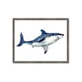 Picture of Shark Attack I   _GroupedProduct_Rectangle_Landscape_Mini_ _GroupedProduct_Rectangle_Landscape_Framed_Matted_