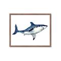 Picture of Shark Attack I   _GroupedProduct_Rectangle_Landscape_Mini_ _GroupedProduct_Rectangle_Landscape_Framed_Matted_