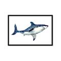 Picture of Shark Attack I   _GroupedProduct_Rectangle_Landscape_Mini_ _GroupedProduct_Rectangle_Landscape_Framed_Matted_