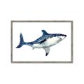 Picture of Shark Attack I   _GroupedProduct_Rectangle_Landscape_Mini_ _GroupedProduct_Rectangle_Landscape_Framed_Matted_