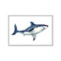 Picture of Shark Attack I   _GroupedProduct_Rectangle_Landscape_Mini_ _GroupedProduct_Rectangle_Landscape_Framed_Matted_