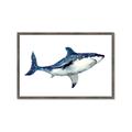 Picture of Shark Attack I   _GroupedProduct_Rectangle_Landscape_Mini_ _GroupedProduct_Rectangle_Landscape_Framed_Matted_