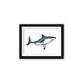 Picture of Shark Attack I   _GroupedProduct_Rectangle_Landscape_Mini_ _GroupedProduct_Rectangle_Landscape_Framed_Matted_
