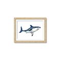 Picture of Shark Attack I   _GroupedProduct_Rectangle_Landscape_Mini_ _GroupedProduct_Rectangle_Landscape_Framed_Matted_