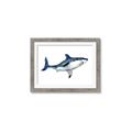 Picture of Shark Attack I   _GroupedProduct_Rectangle_Landscape_Mini_ _GroupedProduct_Rectangle_Landscape_Framed_Matted_