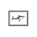 Picture of Shark Attack I   _GroupedProduct_Rectangle_Landscape_Mini_ _GroupedProduct_Rectangle_Landscape_Framed_Matted_