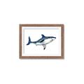 Picture of Shark Attack I   _GroupedProduct_Rectangle_Landscape_Mini_ _GroupedProduct_Rectangle_Landscape_Framed_Matted_