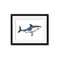 Picture of Shark Attack I   _GroupedProduct_Rectangle_Landscape_Mini_ _GroupedProduct_Rectangle_Landscape_Framed_Matted_