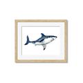 Picture of Shark Attack I   _GroupedProduct_Rectangle_Landscape_Mini_ _GroupedProduct_Rectangle_Landscape_Framed_Matted_