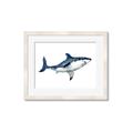 Picture of Shark Attack I   _GroupedProduct_Rectangle_Landscape_Mini_ _GroupedProduct_Rectangle_Landscape_Framed_Matted_