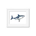 Picture of Shark Attack I   _GroupedProduct_Rectangle_Landscape_Mini_ _GroupedProduct_Rectangle_Landscape_Framed_Matted_