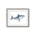 Picture of Shark Attack I   _GroupedProduct_Rectangle_Landscape_Mini_ _GroupedProduct_Rectangle_Landscape_Framed_Matted_