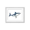 Picture of Shark Attack I   _GroupedProduct_Rectangle_Landscape_Mini_ _GroupedProduct_Rectangle_Landscape_Framed_Matted_